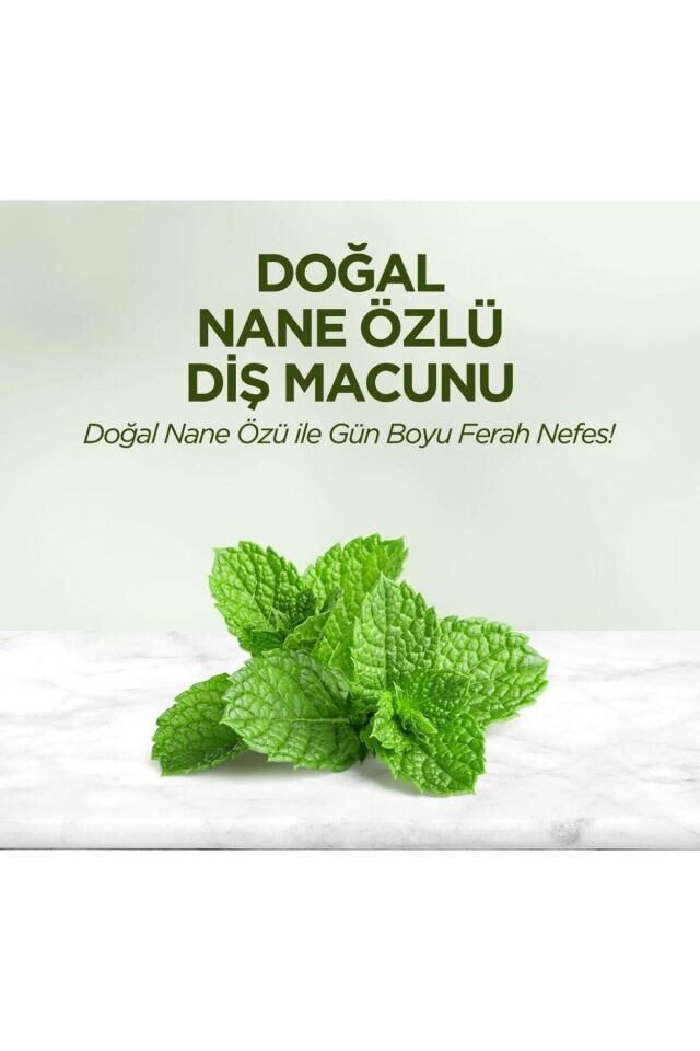 Doğal Diş Macunu 90 Ml Nane Özlü X 3 Adet