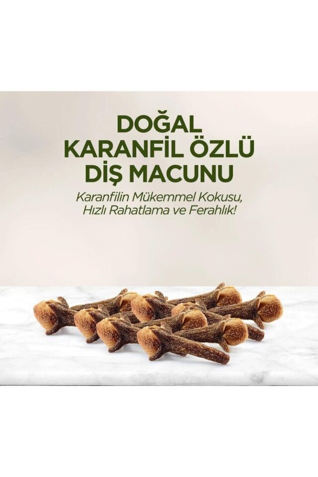 Diş Macunu Nane, Karanfil, Bambu ve Misvak